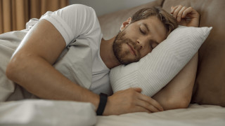 От много години насам учените изследват съня както при хората