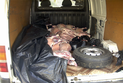 Задържаха 300 кг агнешко месо без документи на АМ „Тракия"