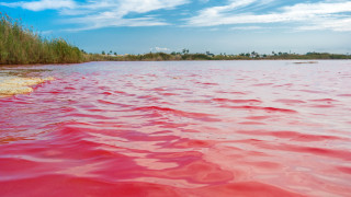 Розовото Мъртво море на Испания