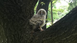 От РИОСВ Пловдив съобщават че през пролетните месеци са зачестили сигналите