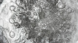 Водната криза в Брестовица продължава - замръзна водата в единствената водоноска