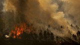 Пожарникари се борят с огнени вихрушки в национален парк в Северна Испания