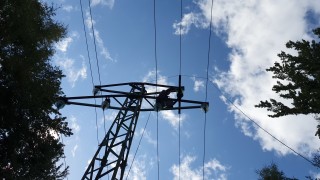 Обезопасяват електрически стълбове в близост до адаптационната волиера за опазване