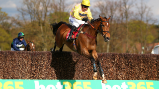 Нов голям букмейкър влиза на българския пазар