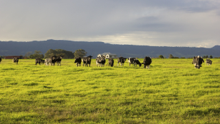 Европейски фермери спират производството тази зима заради високите цени на