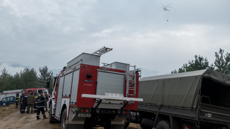 Изображение 310015