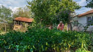 Къщи с градини на цена от 0 динара може да