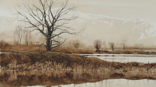 Един интимен поглед към природните картини