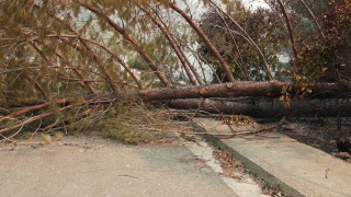 Най малко 2 млн души останаха на тъмно заради пожари в