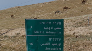 Стотици израелци и палестинци на мирно шествие в Рамала 