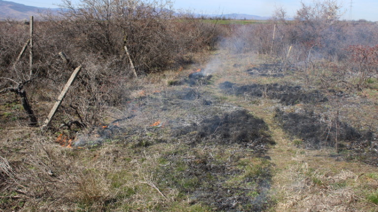 Лозя горяха край Благоевград, съобщава БНТ.
Огънят е обхванал изоставени и
