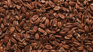 Пеканът известен още и като американски орех може и да