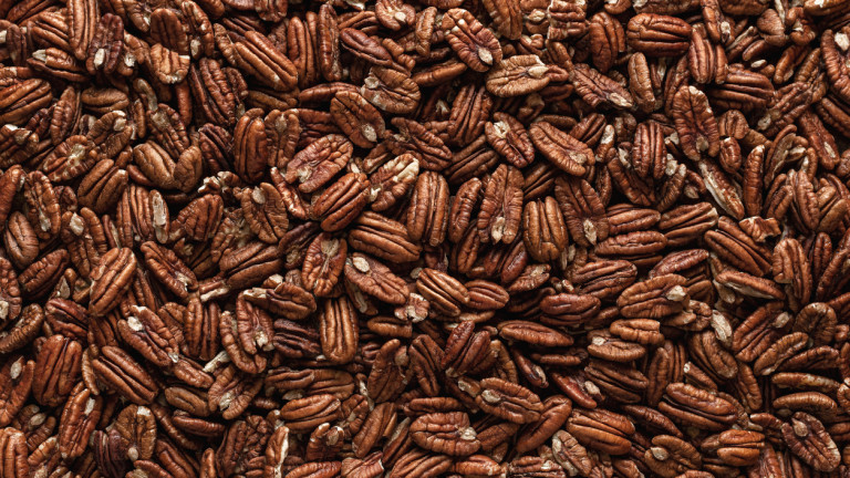 Пекан - ядката, която има повече ползи за здравето, отколкото сме предполагали