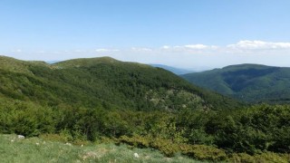 77 годишен мъж от град Дебелец оцеля като по чудо 5