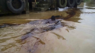 Кървава баня в мина на Нигерия