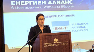Ива Петрова: С декарбонизацията трябва да има и достатъчна предвидимост за индустрията