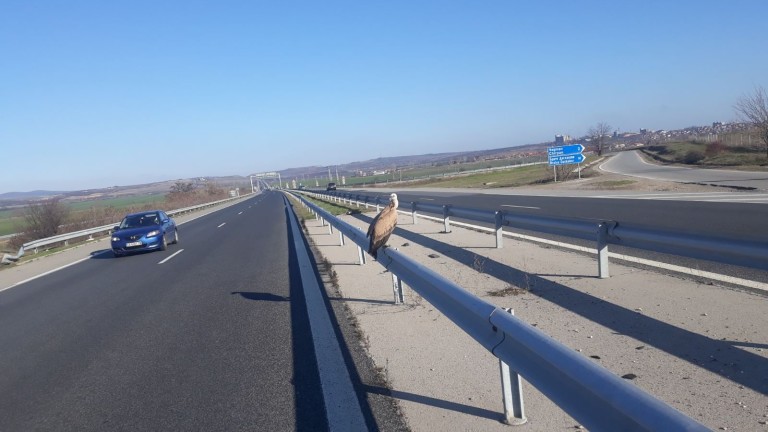 Изображение 512015