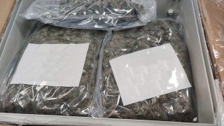 Митническите служители откриха 2 425 кг марихуана при проверка на товарен