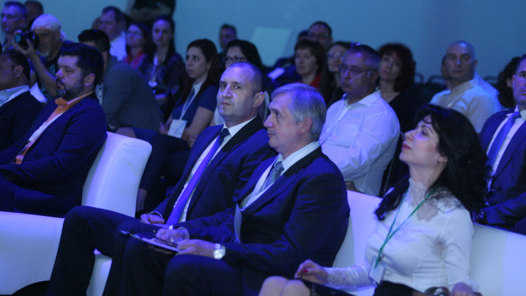 Изображение 352715