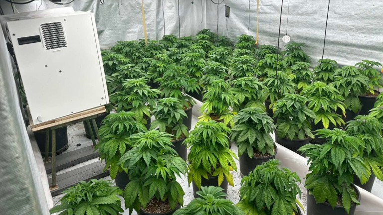 Изображение 733115