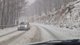  Заради преспи и паднали дървета: Затвориха два пътни сектора във Великотърновско 