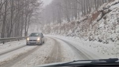 Заради преспи и паднали дървета: Затвориха два пътни участъка във Великотърновско