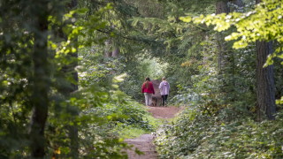 Министерство на земеделието и храните и Изпълнителна агенция по горите