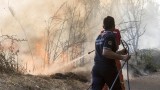 Жертви при огромни пожари в Италия 