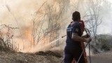 Жертви при огромни пожари в Италия