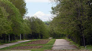 Столичната община организира кръгла маса за зелената система в София