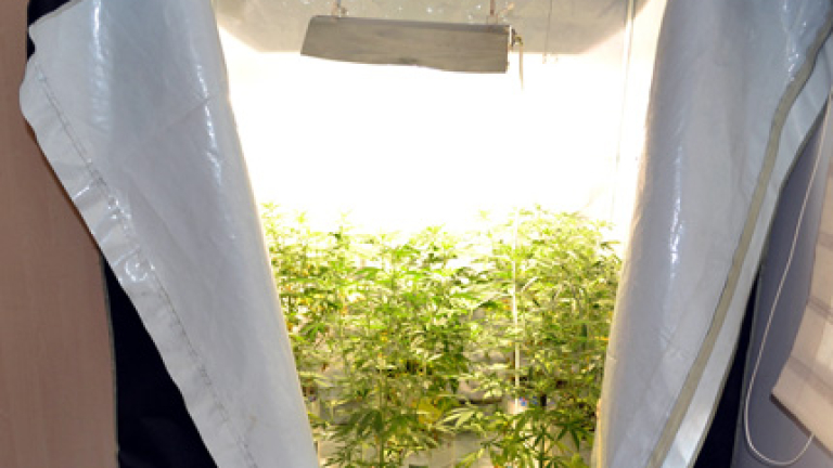 Изображение 114515