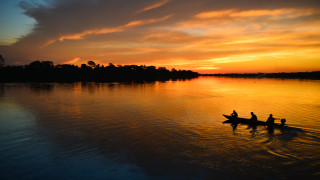 Нови кадри показват членове на безконтактно племе в перуанската Амазония живеещи