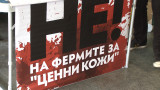 Граждани агитират за забрана на фермите за ценни кожи у нас