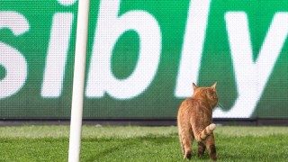 Турският шампион може да отнесе наказание от УЕФА за появата