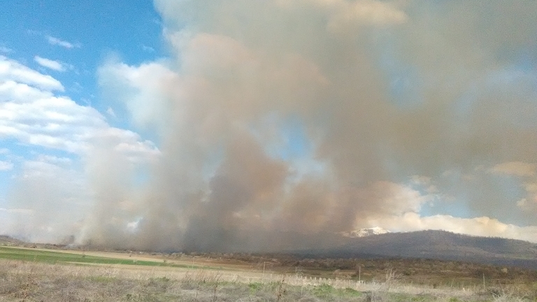 Голям пожар избухна край Мурсалево 