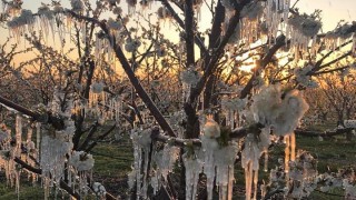 Ще духа слаб западен вятър а в югозападните райони ще