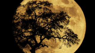 Днес в света се наблюдава специално космическо явление рядката