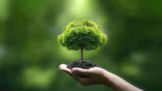 След като 21 юли 2024 г бе определен за новият