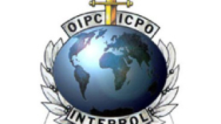 Интерпол се намесва в педофилския скандал в църквата