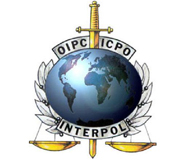 Интерпол призова за международен отговор срещу тероризма