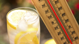 Рекордните 40 градуса във Видин и Сандански