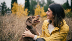 Как кучето ни да има здрави и щастливи старини