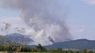 Всички пожарникари и полицаи в Кюстендил са мобилизирани в гасенето на пожарите