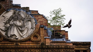 Европа отбелязва 75 г от края на Втората световна война