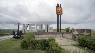 Около 50 мъртви делфина бяха открити в морето след потъването