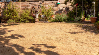 Чували сме за най красивите обществени градини в света за градини