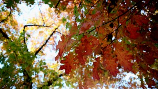 Днес сутринта на отделни места в котловините и около водните