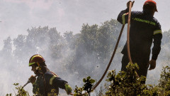 52 горски пожара избухнаха през последните 24 часа в Гърция