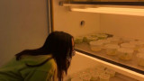  Клои Фицпатрик, видеата ѝ в TikTok и бижутата, които основава с бактерии 