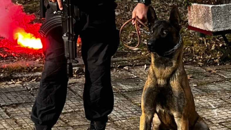 Изображение 640916